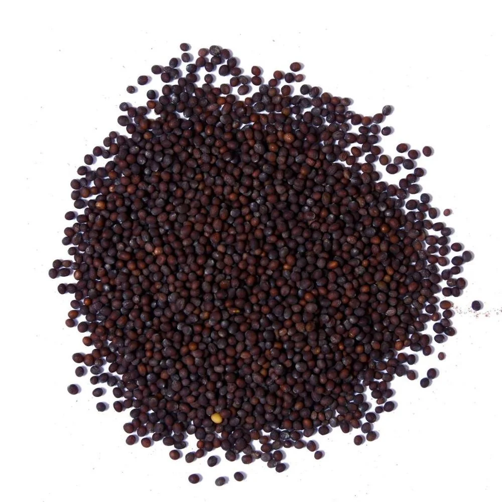 
Extra Quality Yellow Mustard Seeds and Black Mustard Seeds For Sale 