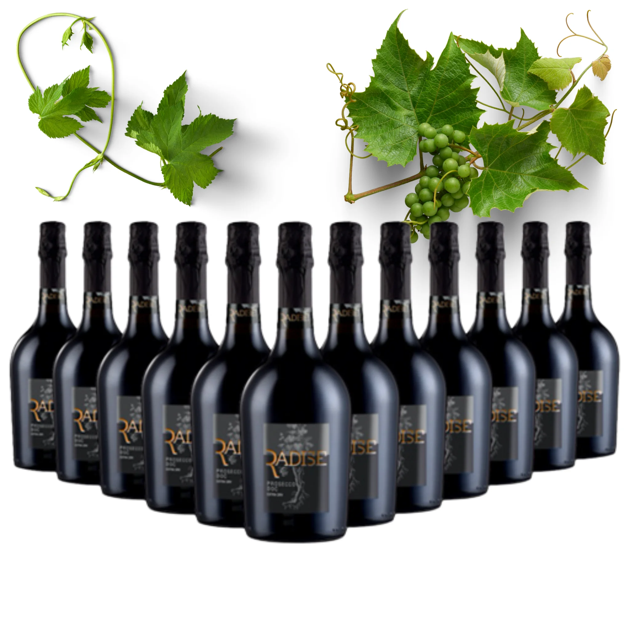 Top Prosecco DOC Extra Dry Sparkling WIne - Radise - Prosecco wine alcohol 11% Made in Italy