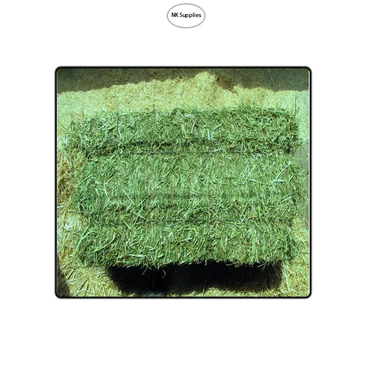 
Global Demand on Wholesale Selling Top Quality Green Alfalfa Hay for Bulk Buyers 