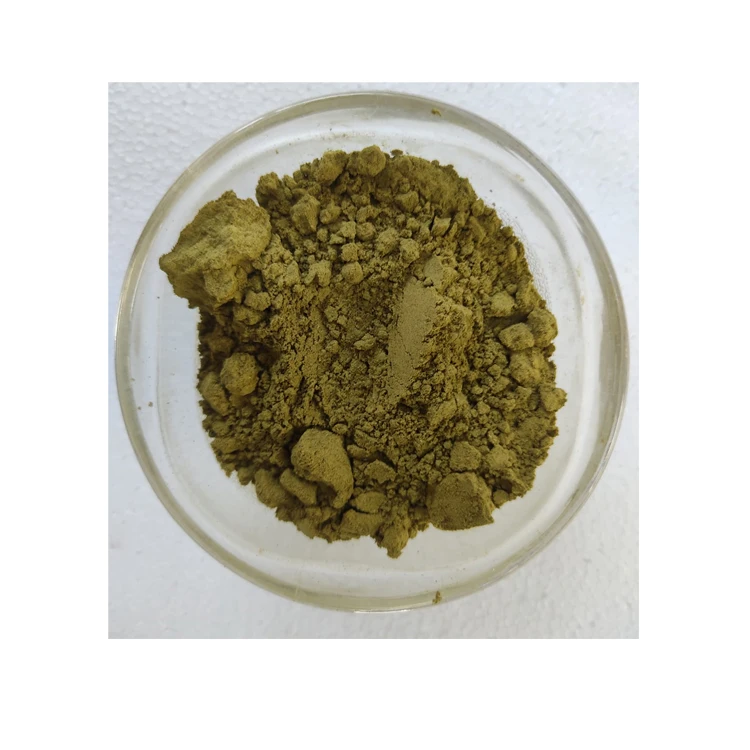 Direct Factory Supply 100% Quality Commitment Papaya Leaf Extract Herbal Powder at Reliable Market Price