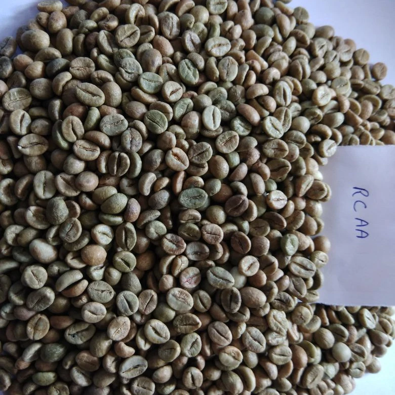 
Indian Green Coffee Bean unwashed Robusta Cherry AA Screen 18 