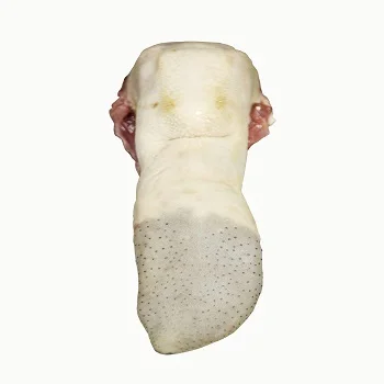 Frozen Buffalo Tongue Meat