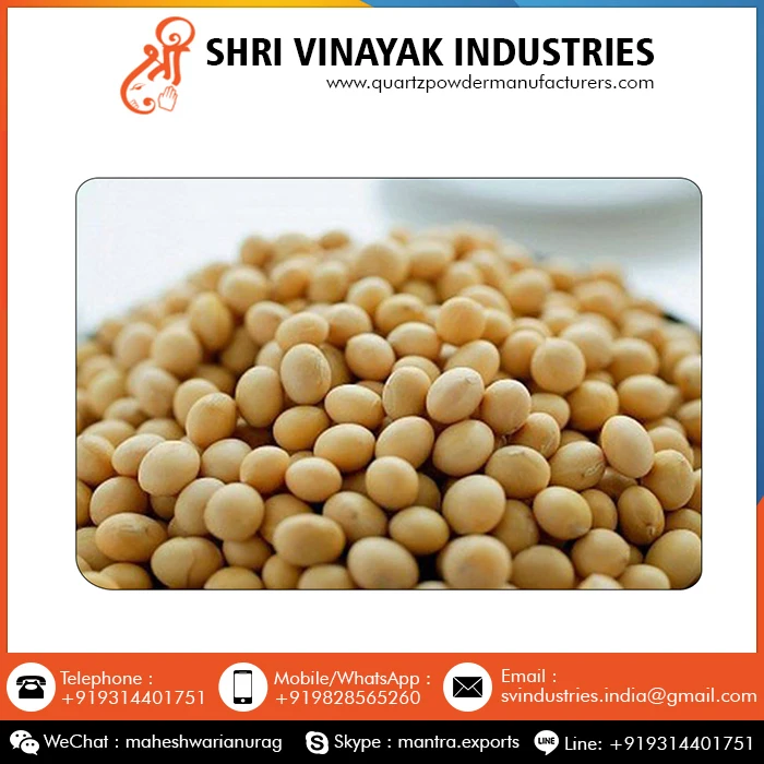 Top Sale Good Quality Organic Soybean Seed at Wholesale Price