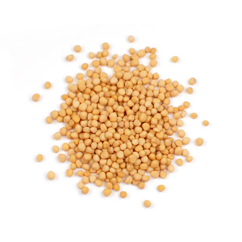 Superior Quality 100% Pure and Natural Yellow Mustard Seeds at Wholesale Price Manufactured from India