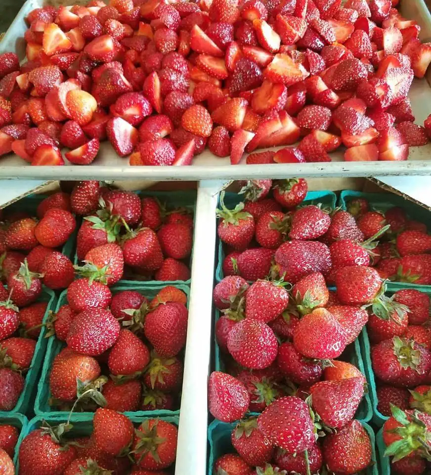 
Wholesale Fresh Strawberry / Strawberry Fruit Price 