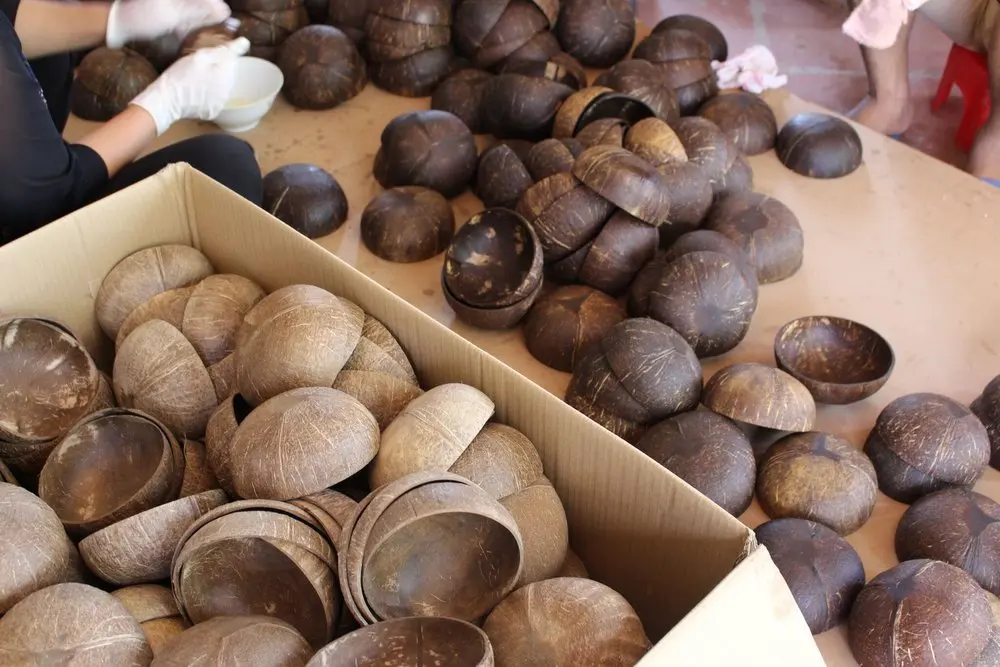 Coconut Bowl with fine finishes and quality handmade from INDIA