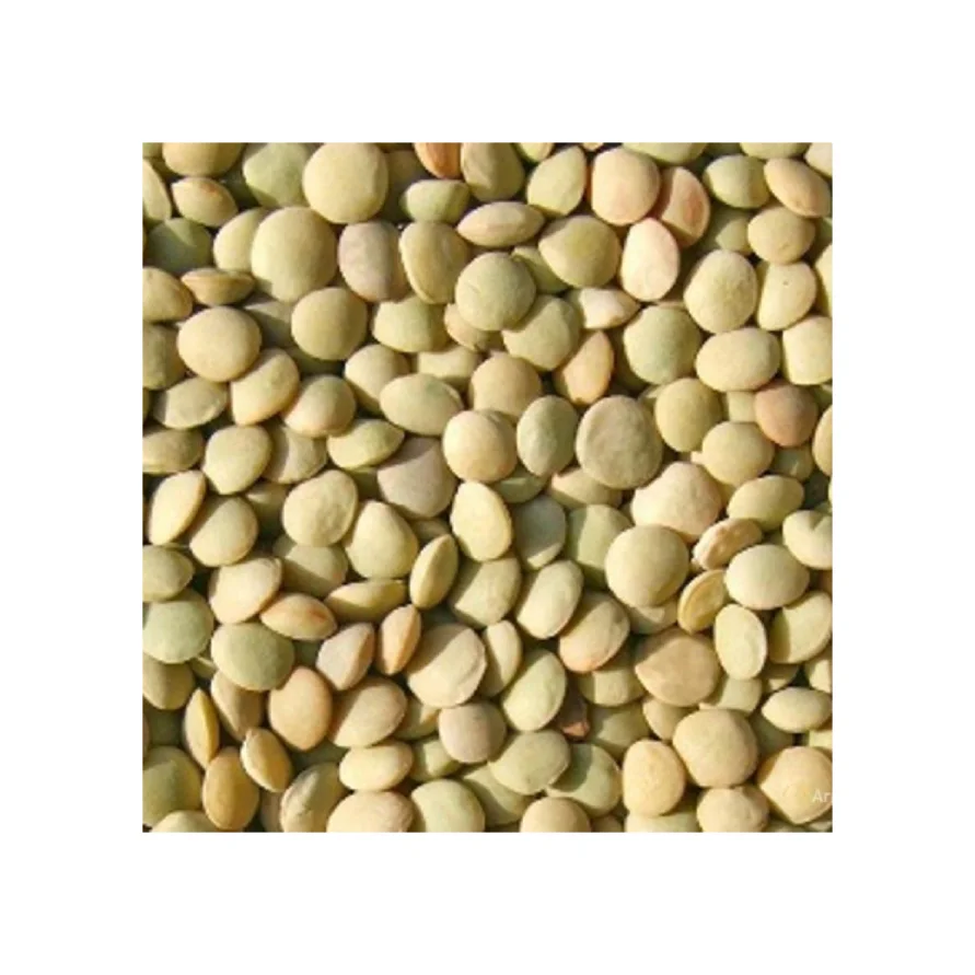 
red green lentils 