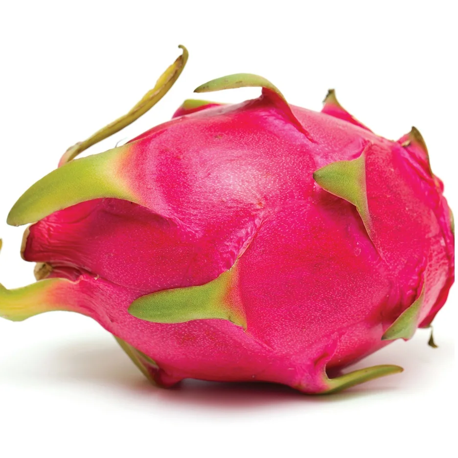HIGH QUALITY FRESH DRAGON FRUIT FROM VIETNAM