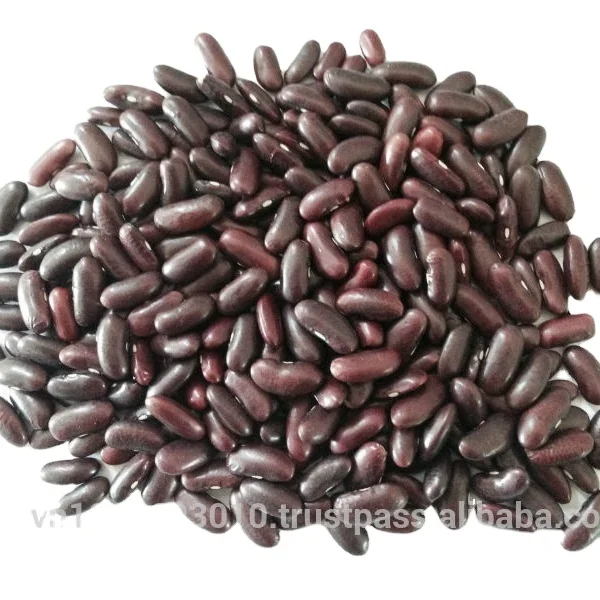 Хит продаж, вьетнамская красная фасоль 2022