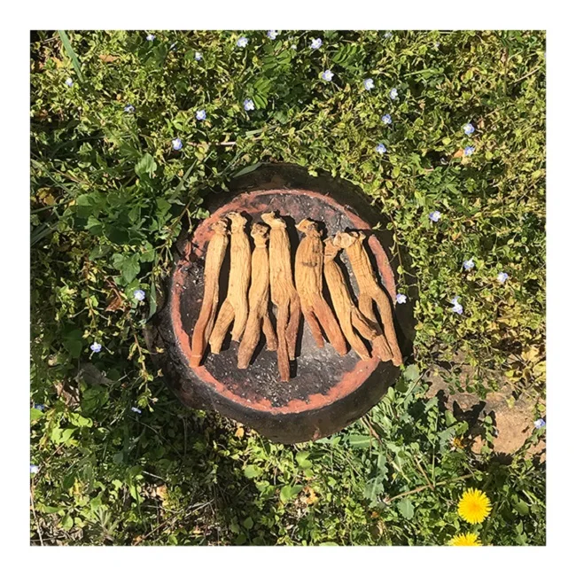 [Cheongoin] Reliable Pure Korean dried red ginseng roots 150g (30)