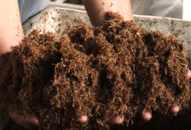 Оптовая продажа большого количества сугарского багасса для корма животных по низкой цене