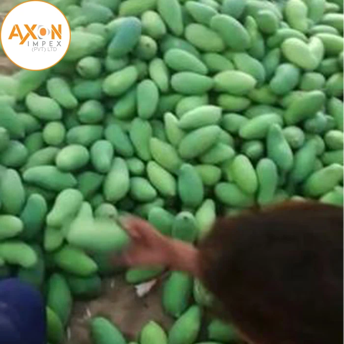 
A+ Grade Chaunsa Mangoes For Sale/High Quality Chaunsa Mangos From Pakistan 