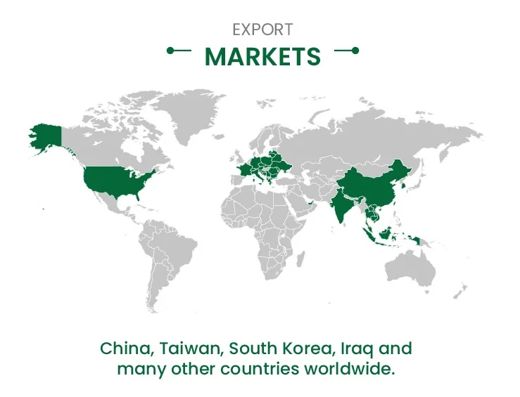 main market 2.jpg