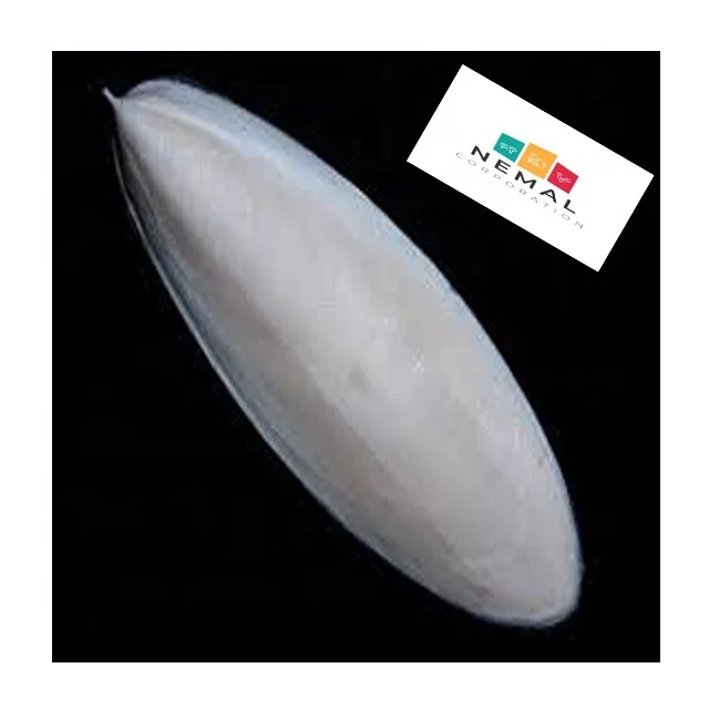 
High Quality Cuttle Fish Bone 