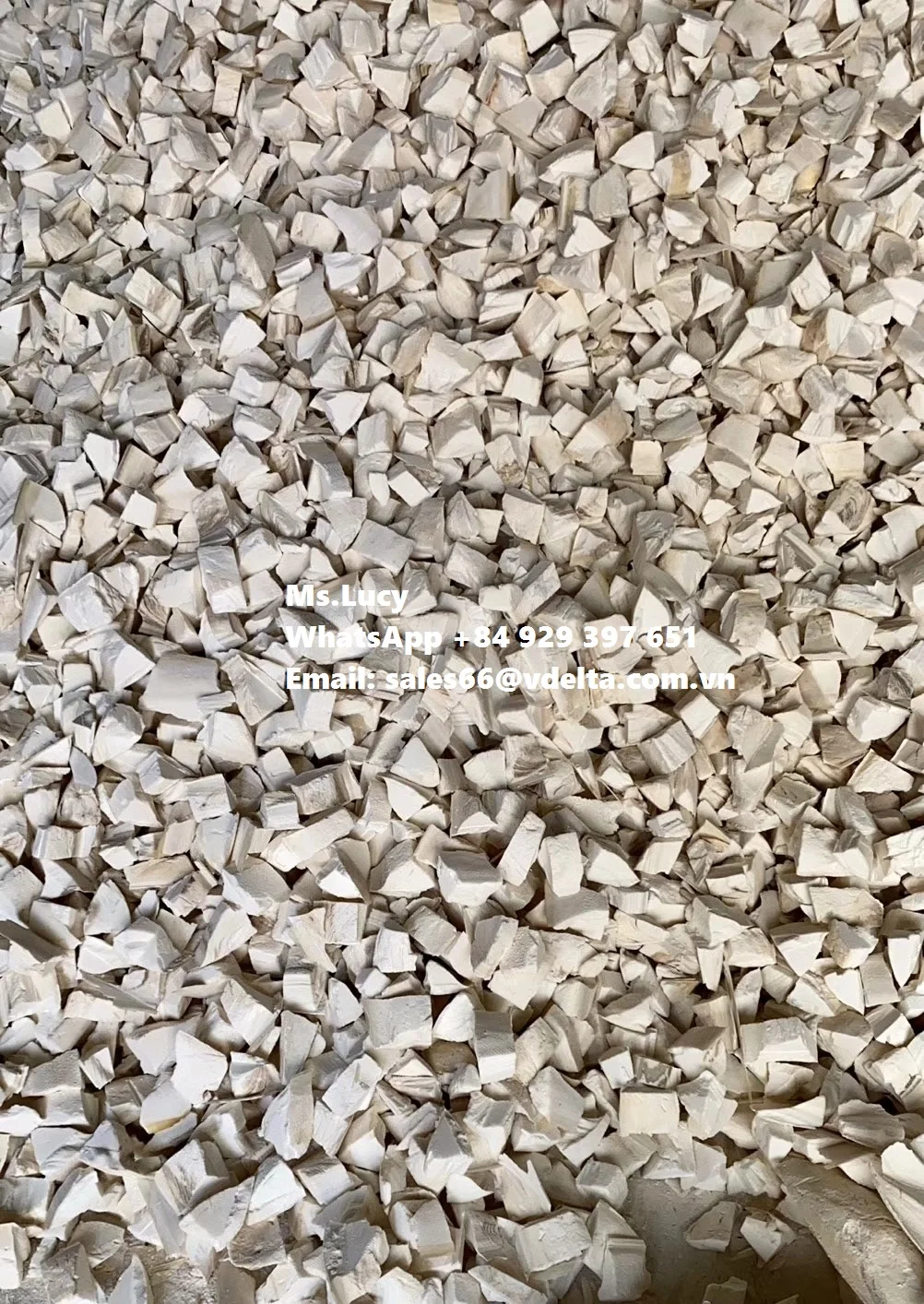 Wholesale Dried Cuttlefish Bone/ Natural Dried Sepia Powder/ Crushed Cuttlefish Bone Ms.Lucy +84 929 397 651
