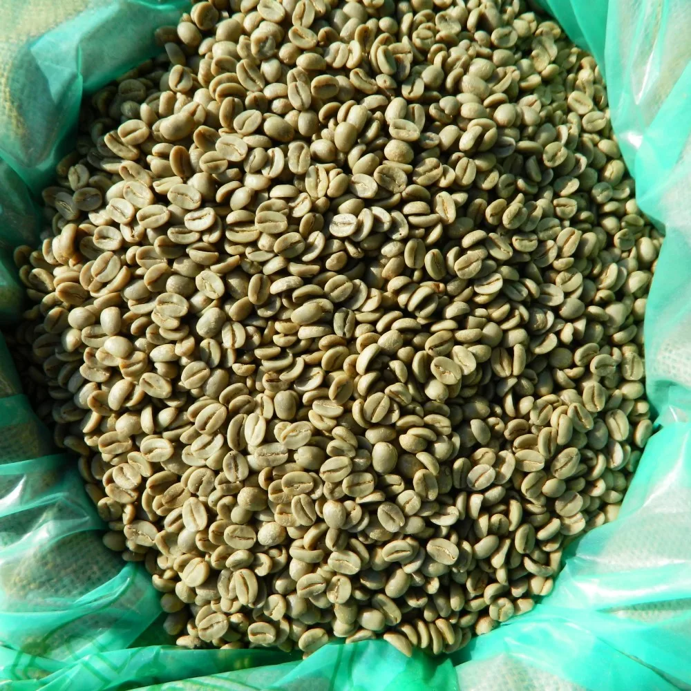 
Export Product With High Quality & Best Price Robusta Green Coffee Beans From Vietnam 
