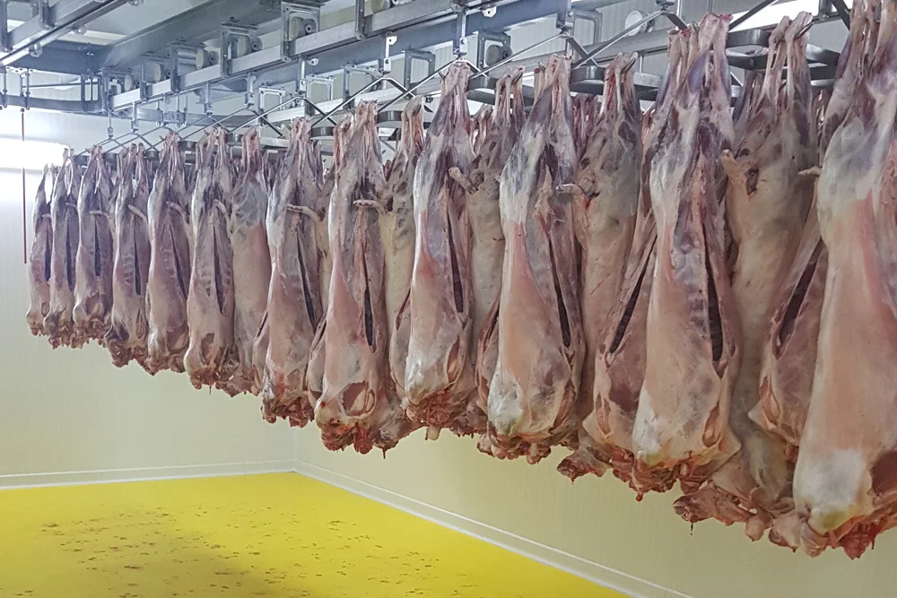 A Grade Quality Wholesale Premium Quality Frozen Meat