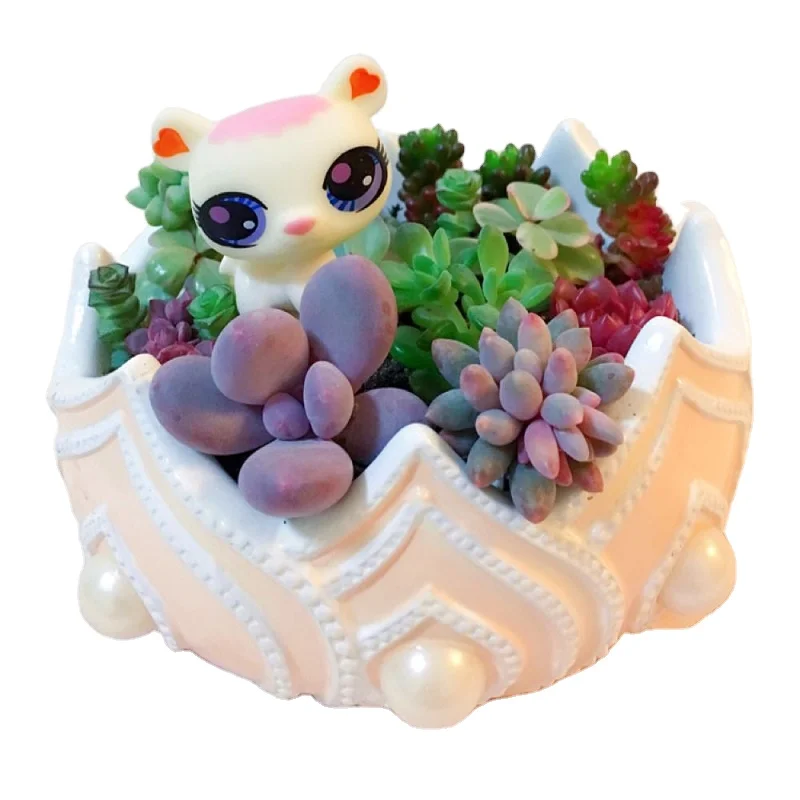
Creative european-style crown ceramic flowerpot with tray of succulent planter customized by Chinese manufacturer 