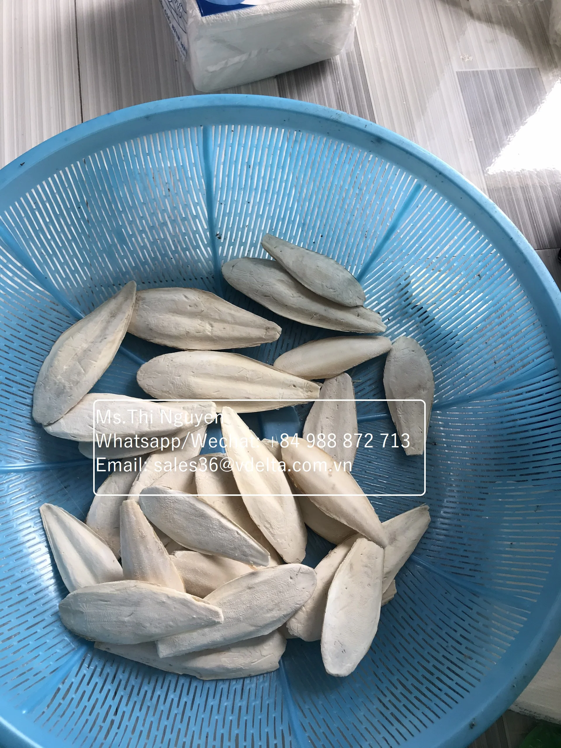 Сушеные кости для морской Слепки птиц по низкой цене/Ms.Thi Нгуен + 84 988 872 713