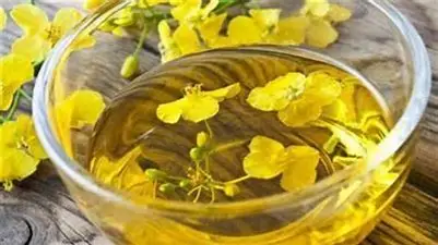 100% Pure refined Canola/Rapeseed oil/100% Refined Rapeseed Oil Cooking Oil