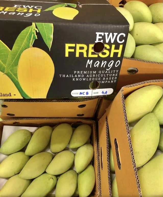 
Premium Seller Natural Fruit EWC Brand Thailand Fresh Mango Namdokmai Size 15cm 