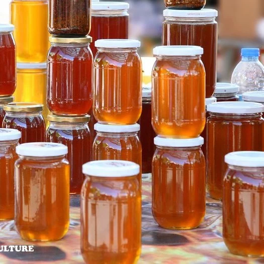 Golden Wattle Honey with High quality and Cheap price / Quick response and Good Services / Wholesale from Vietnam