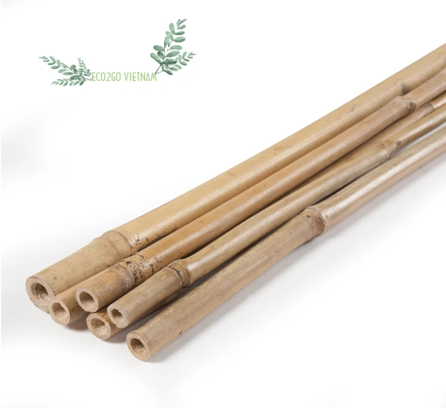 Wholesale Cheapest Price 2024 Bamboo Stakes / Bamboo Canes/ Bamboo Stake Gardening Tonkin High Quality Made in Eco2go Vietnam