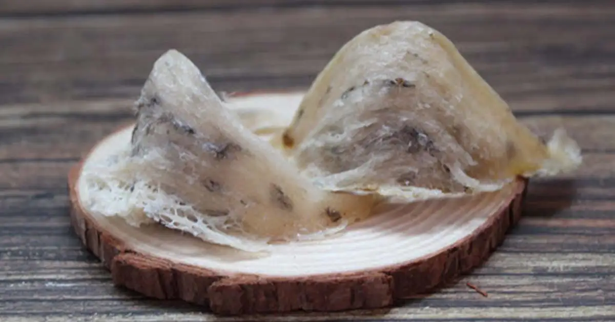 Необработанное Птичье гнездо в тюках 10 кг лучшее качество медицинский поставщик из Вьетнама Антивозрастная хорошая цена