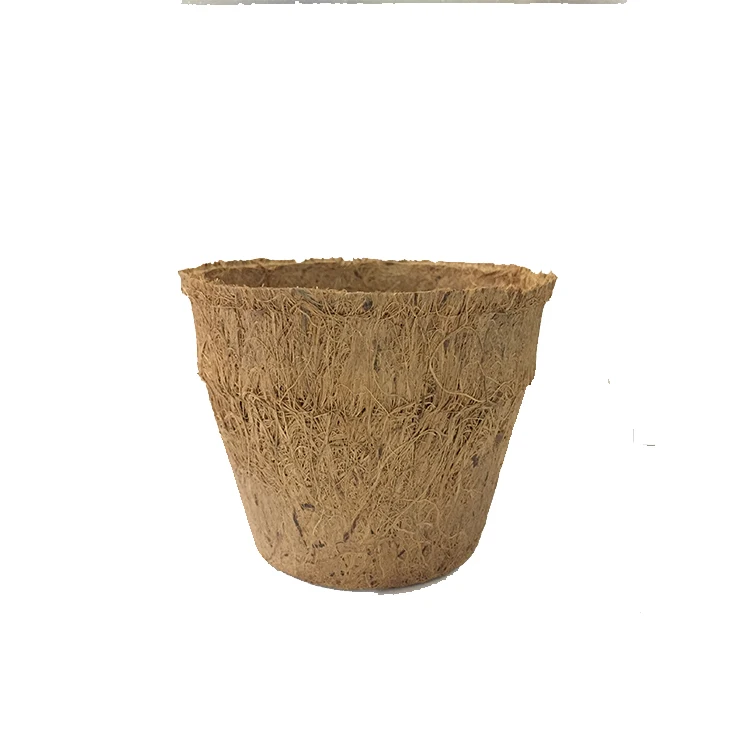Coconut Coir Pot