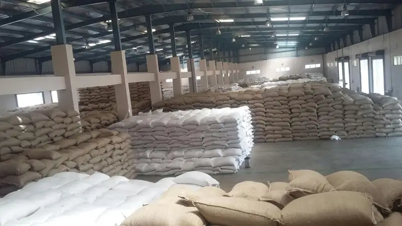 Top Quality Raw White Sesame Seeds 100% Natural Sesame Seeds