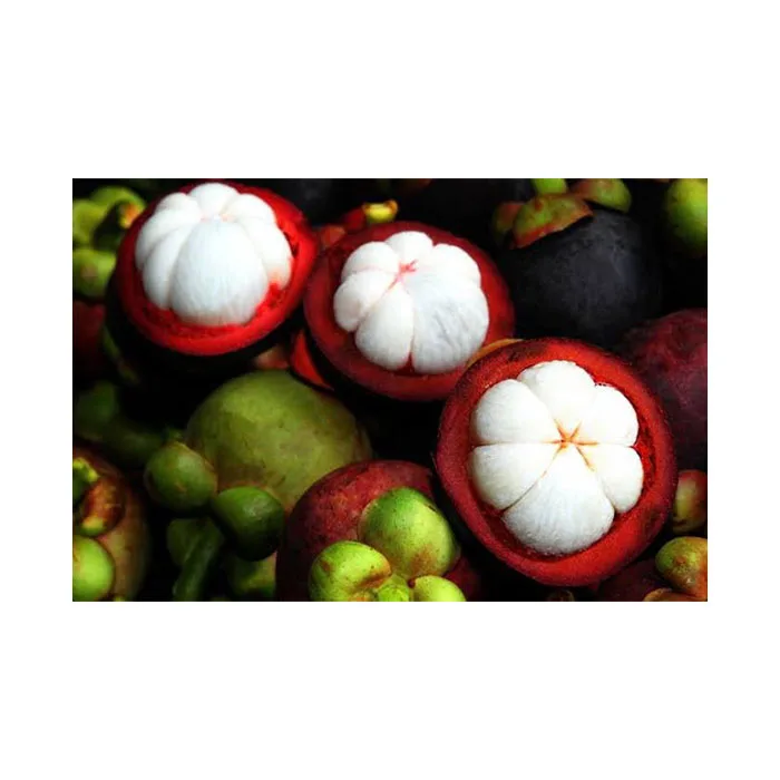 High Quality Premium Grade Mangosteen Fresh Fruit From Thailand