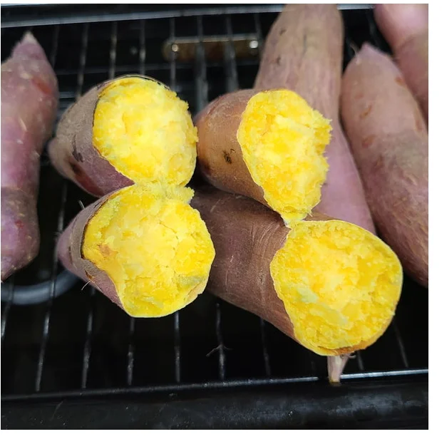  Лучший продукт на экспорт // японский сладкий картофель мед YAM из Вьетнама для оптовой продажи/Ms Sofia + 84 789946878
