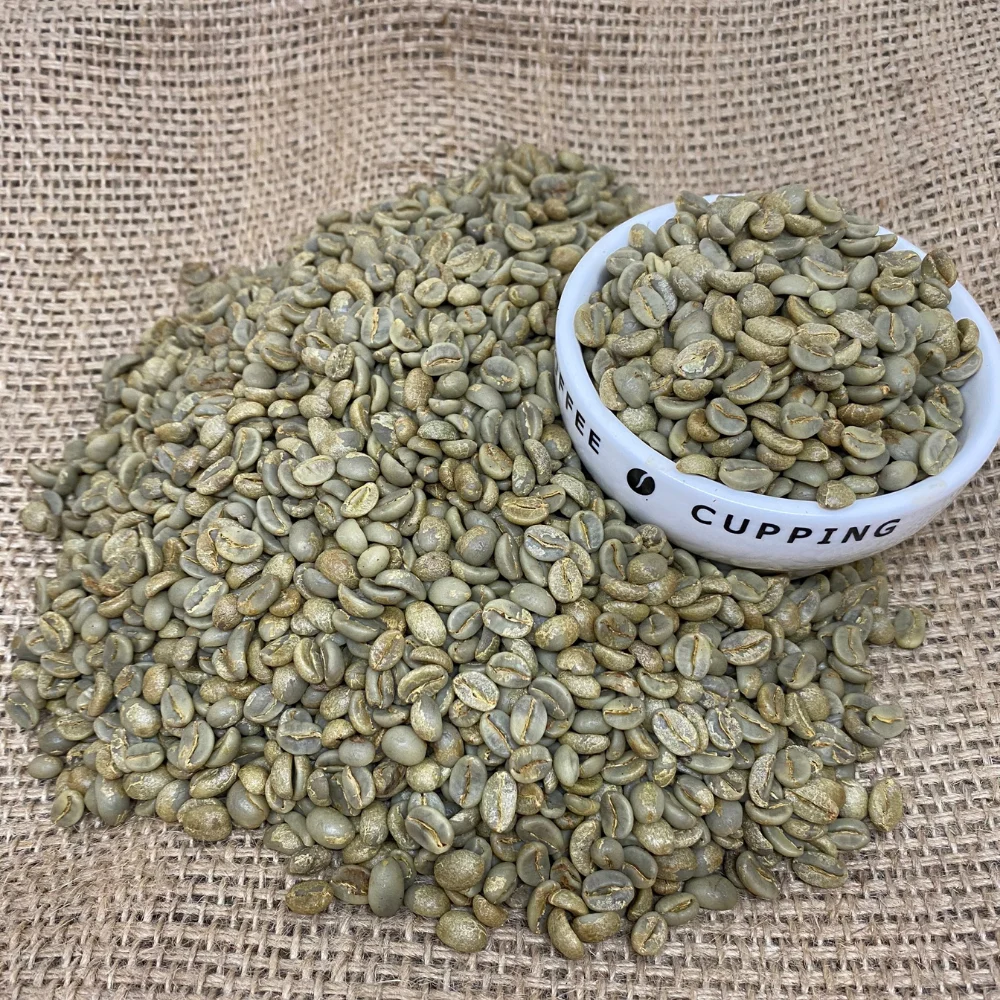 Arabica Green Coffee Beans High Quality Catimor Arabica Green Coffee Beans Fully-Washed Processing S16/18  from Vietnam