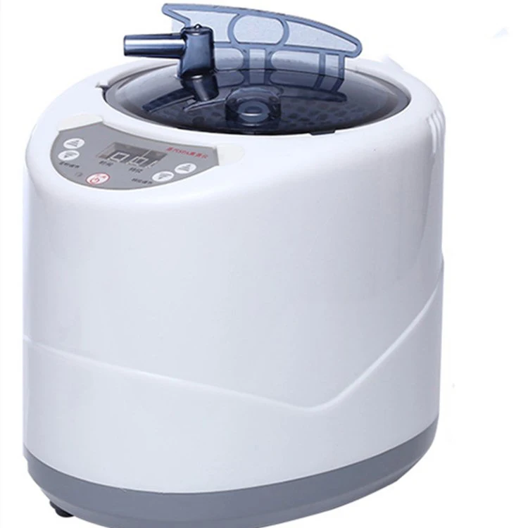 Sauna Steamer Portable Pot, Stainless Steel Steam Generator with Remote Control SPA Fumigation Machine
