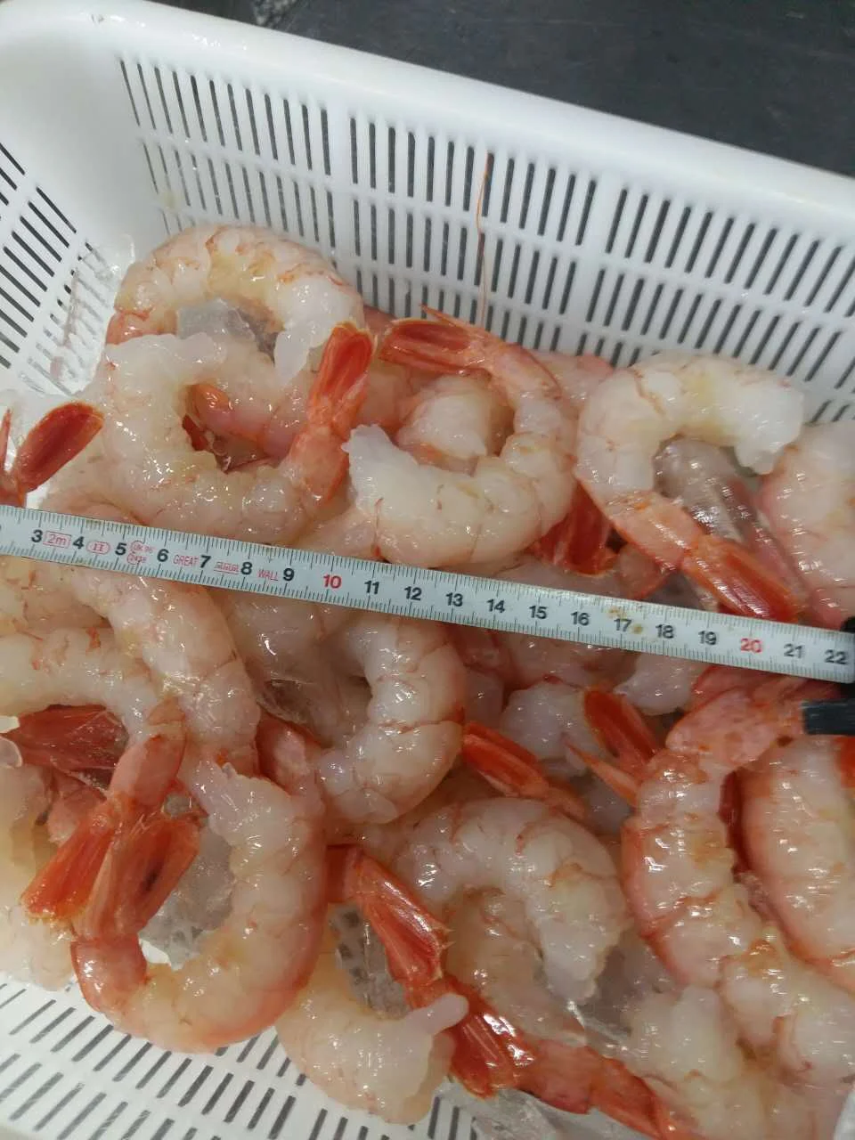 FROZEN ARGENTINE RED SHRIMP