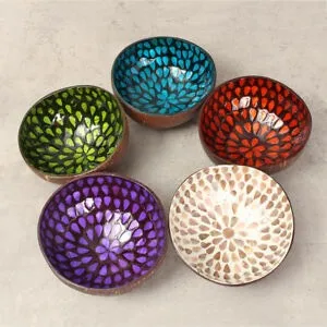 Экологичная чаша из кокосового лака/Высококачественная лакированная Кокосовая чаша, Кокосовая чаша ручной работы/декоративная цветная Кокосовая чаша