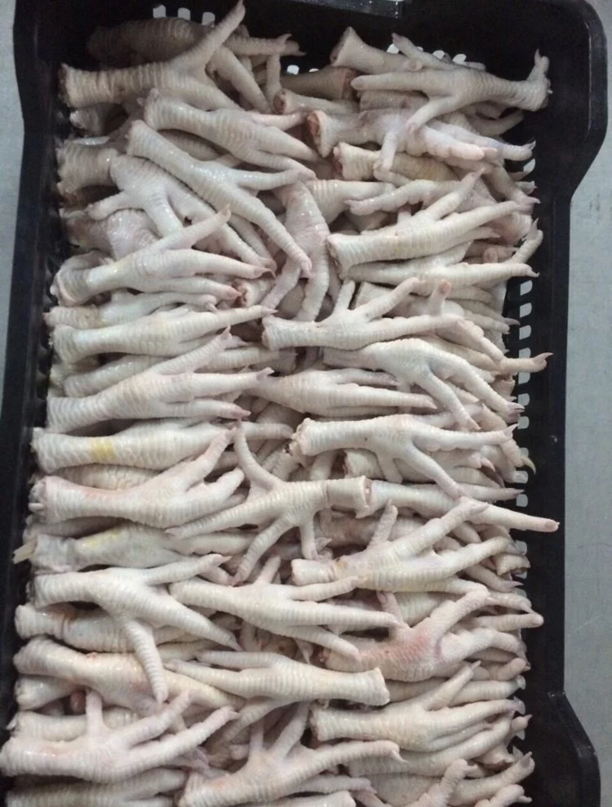  Замороженные ножки