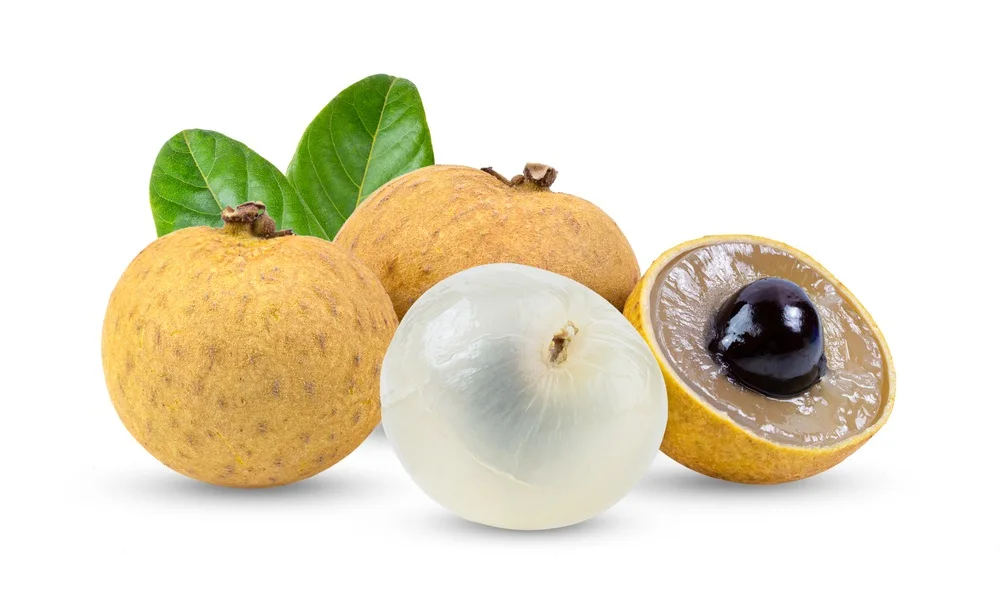 Musky Aroma Naturally Sweet COMMON Cultivation Type Vacuum Pack WHOLE IQF Longan with Sweet Juicy Flesh Texture