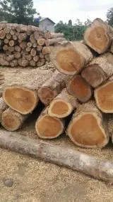 Solid Wood Acacia Sawn Timber Solid Wood