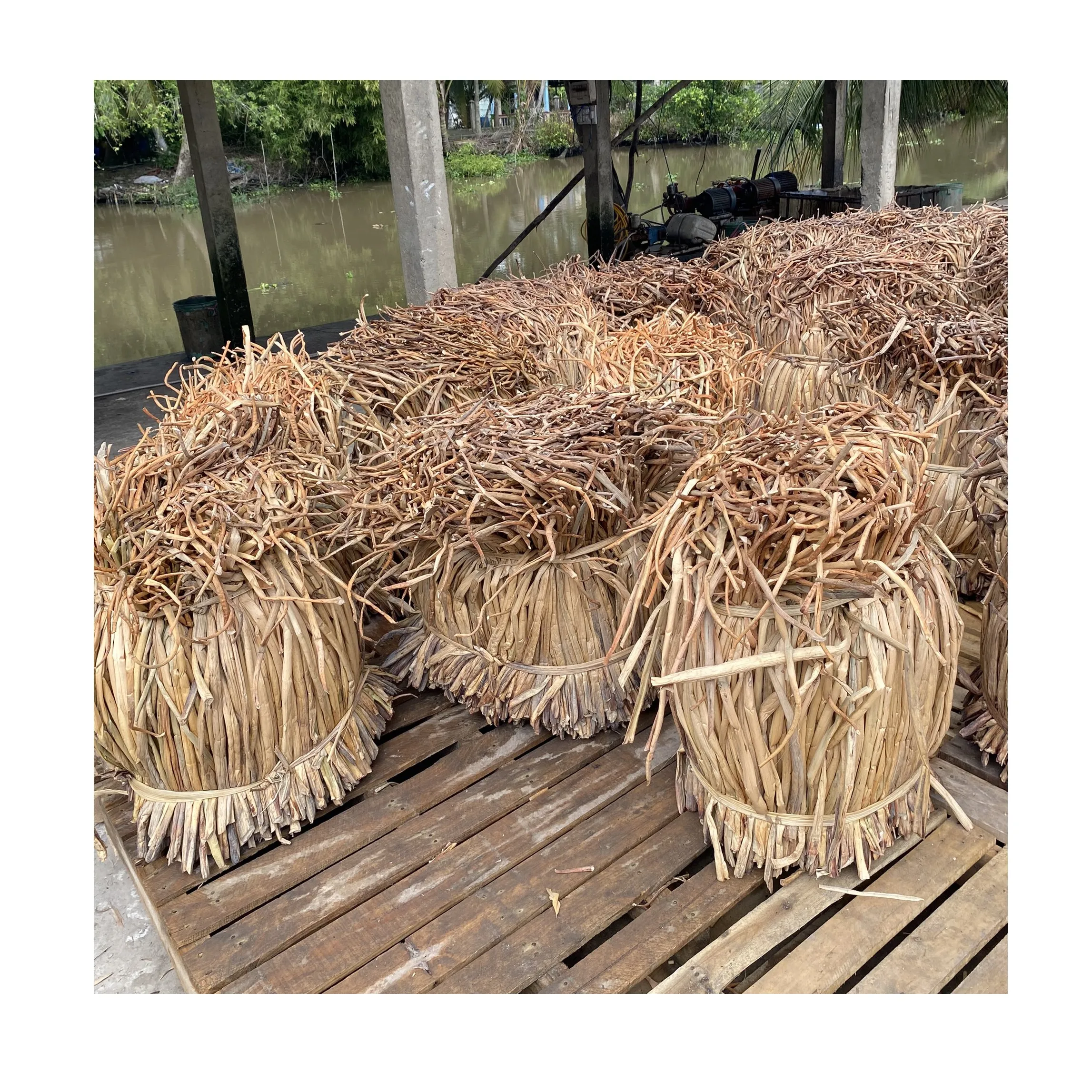 
100% Natural Water Hyacinth/Raw Material For Handicrafts/Dried Water Hyacinth Raw Material For Making Bags Baskets 