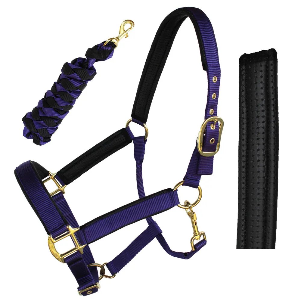 
Wholesale High quality Horse Riding Rope Halter colorful horse nylon rope halter 