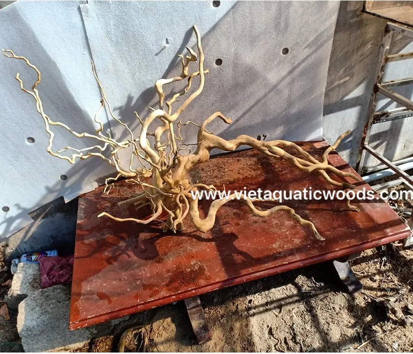 Лидер продаж 2024 коряги мангровые аквариумы натуральные для аквариума аксессуары украшения 2023 WhatsApp + 84 963949178