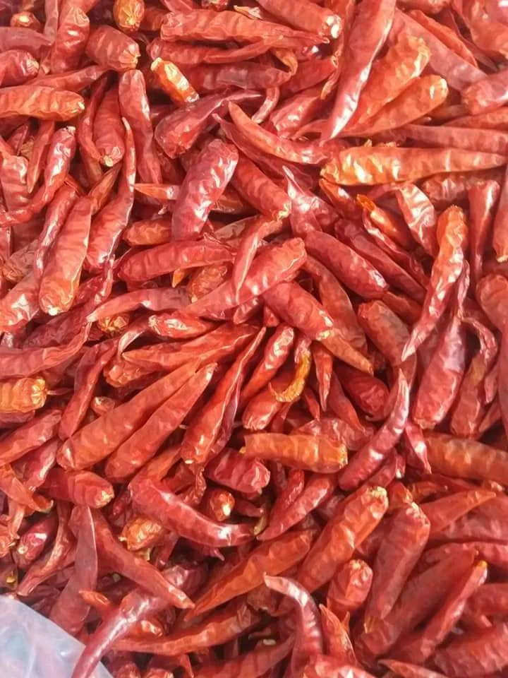 Сушеный красный чили/красный перец из Gimex Vietnam