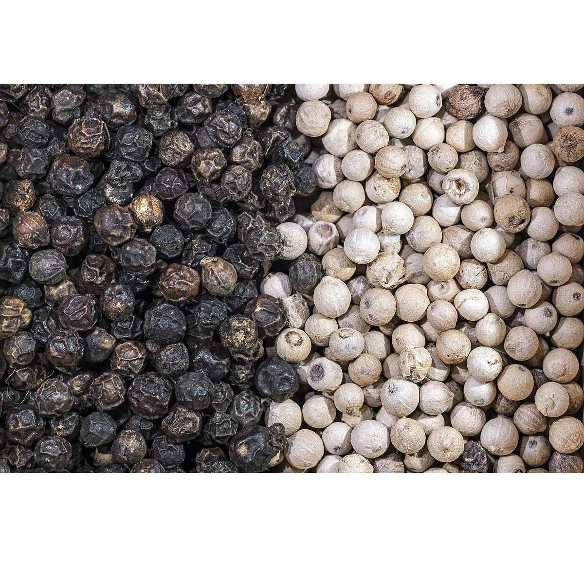 Wholesale Newcrop 2021 dried black pepper Dried Bulk Black Pepper Machine Cleaned Made in Viet Nam with Cheap price