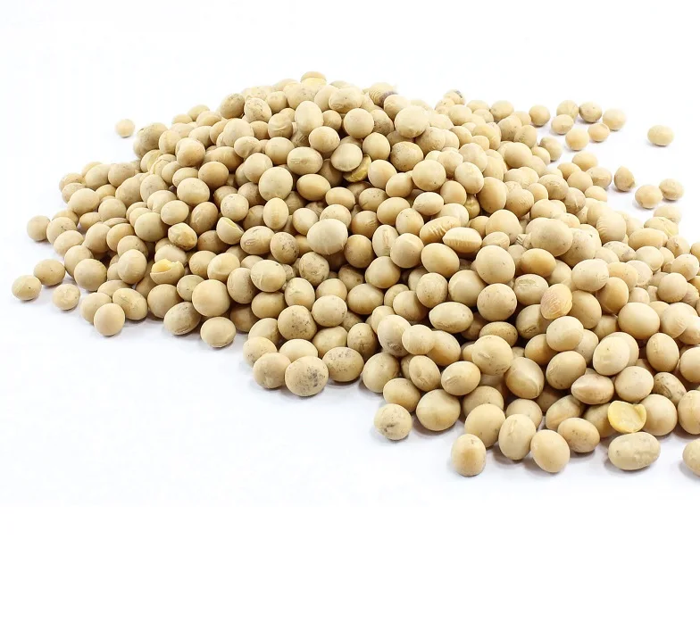Non GMO Organic Soybeans - Organic Soy Beans - Wholesale and best price
