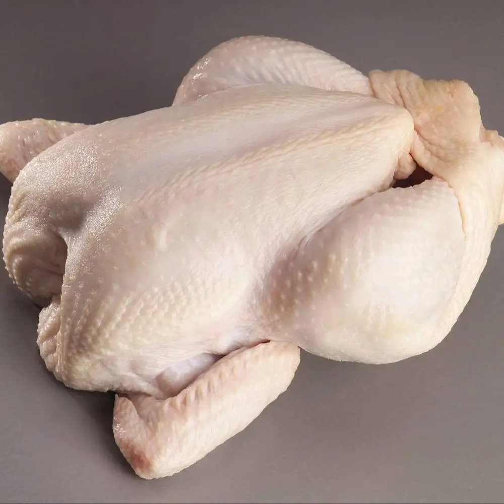 Halal Whole Frozen Chicken For sale