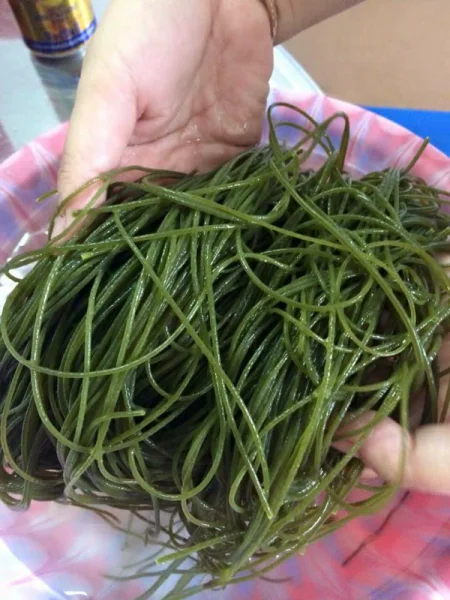 Лапша Моринга лапша