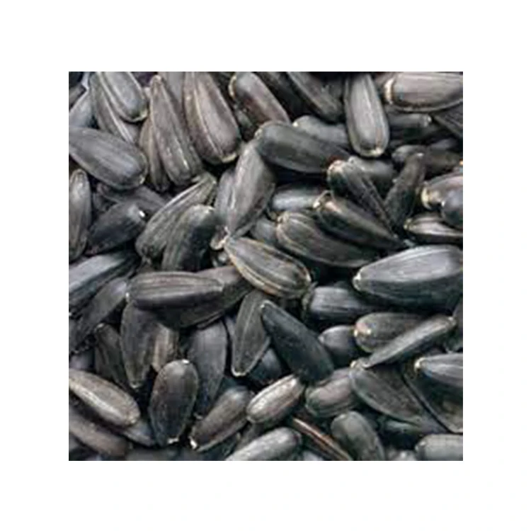 
Lowest Price Most Selling Top Notch Quality Black Color Dried Sunflower Seeds 