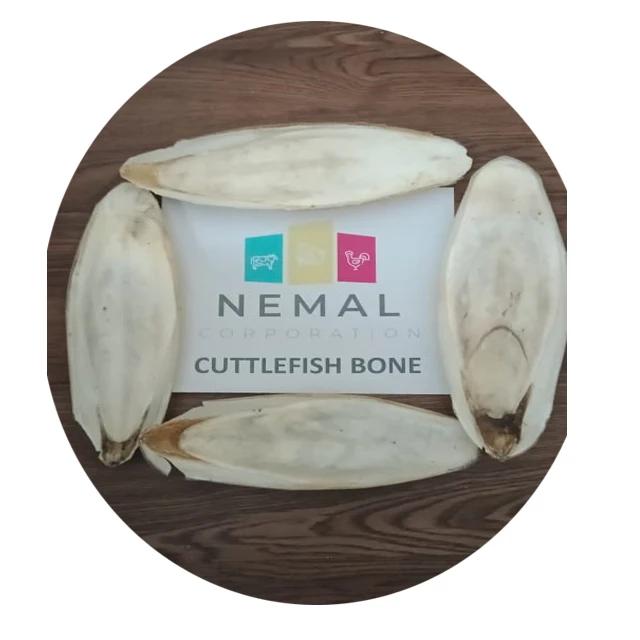 
PAKISTAN DRIED CUTTLEFISH BONE 