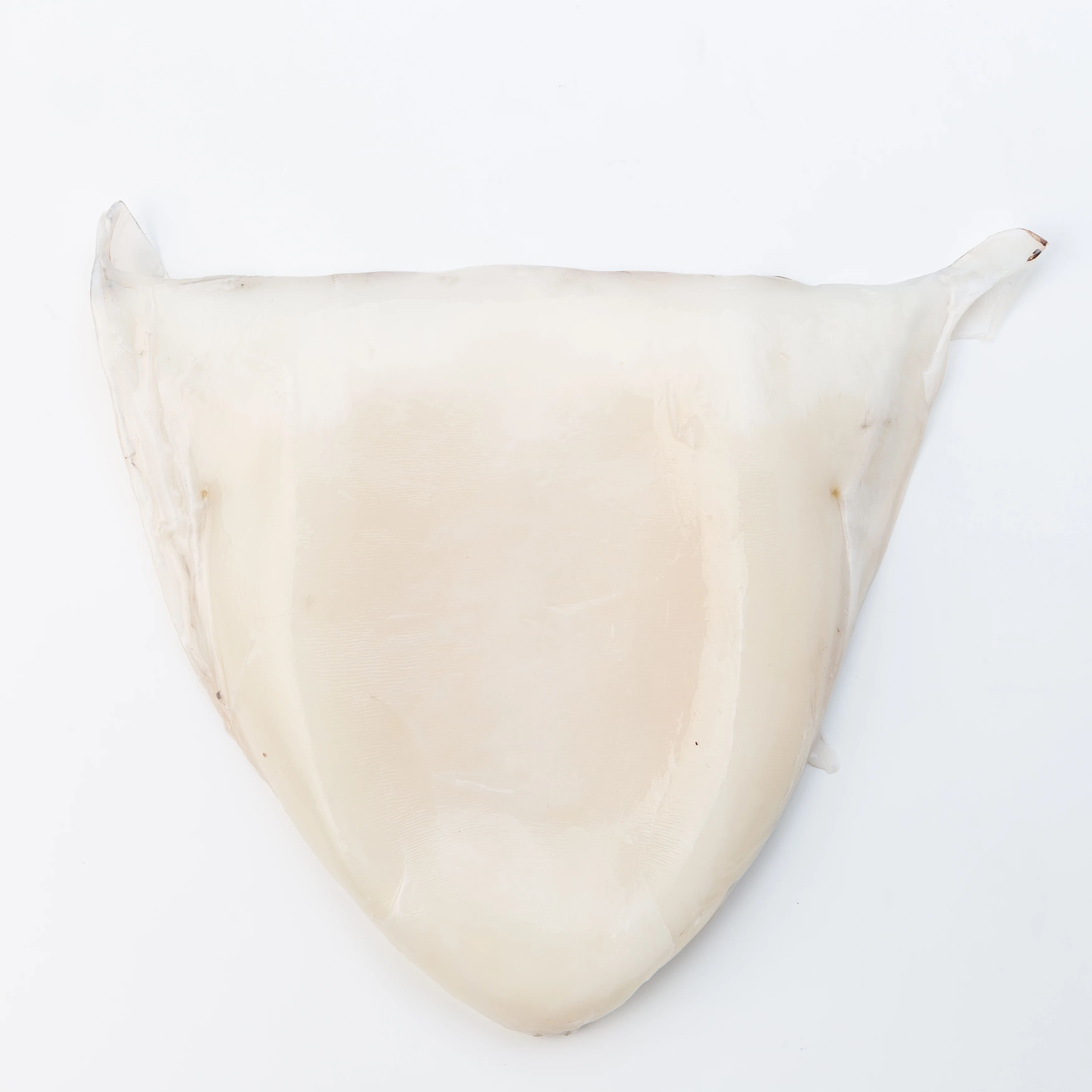 
Frozen Fillet CUTTLEFISH 